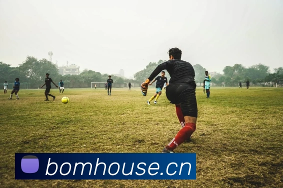 开云手机官方登录平台生态图