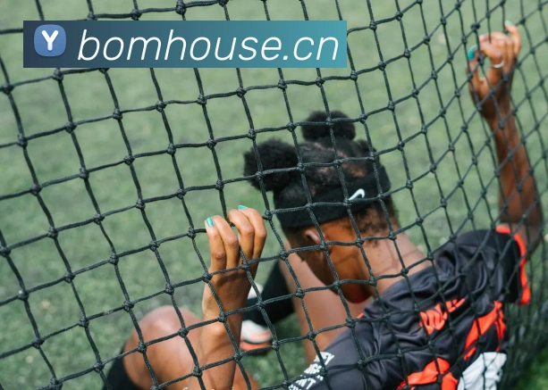 开云手机官方登录APP 封面图